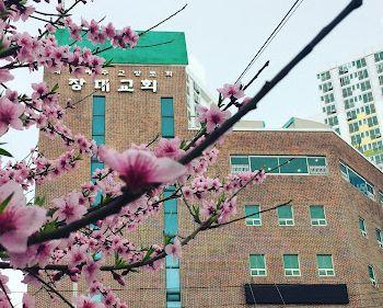 장대교회